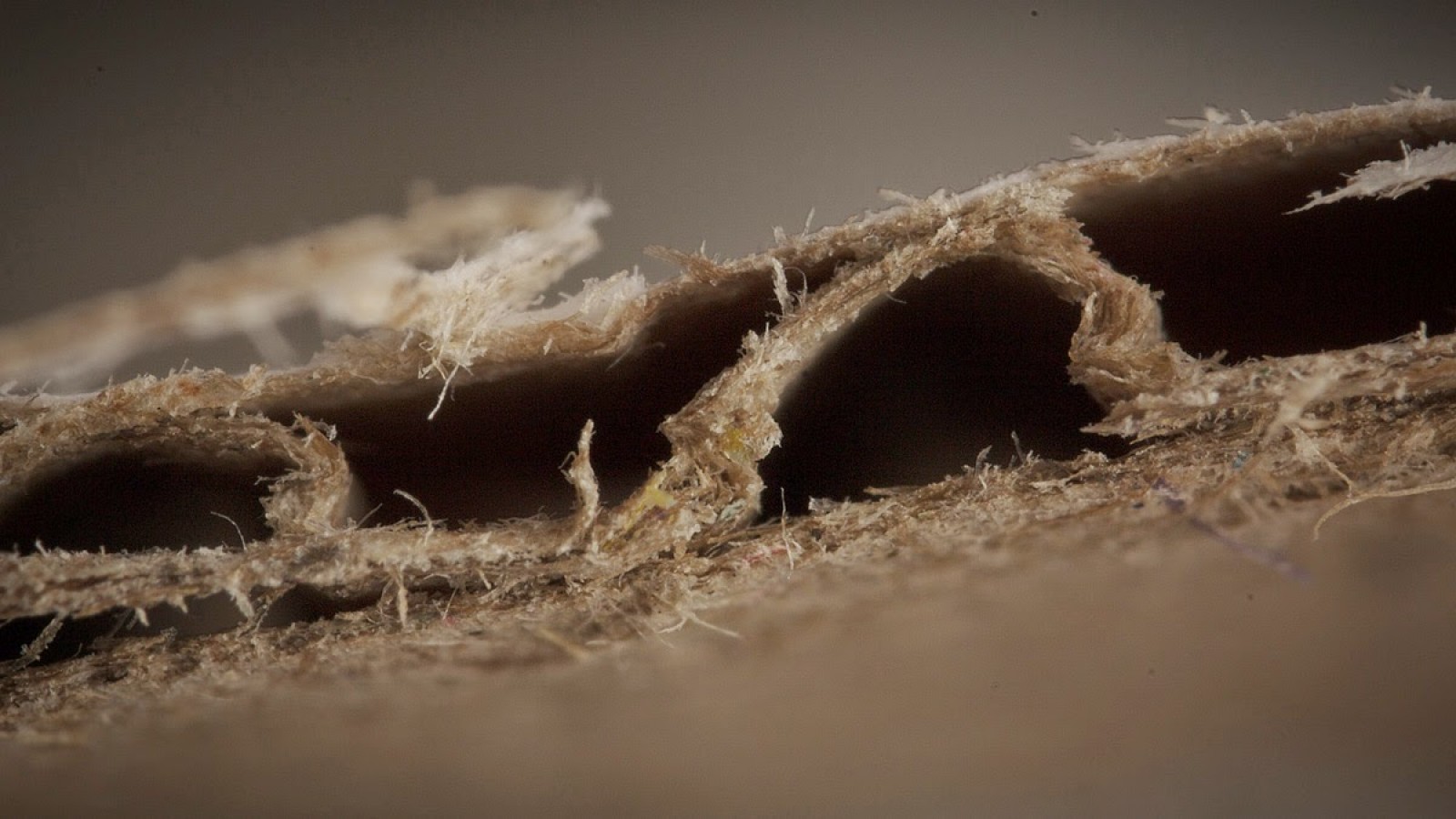 dust in the mattress