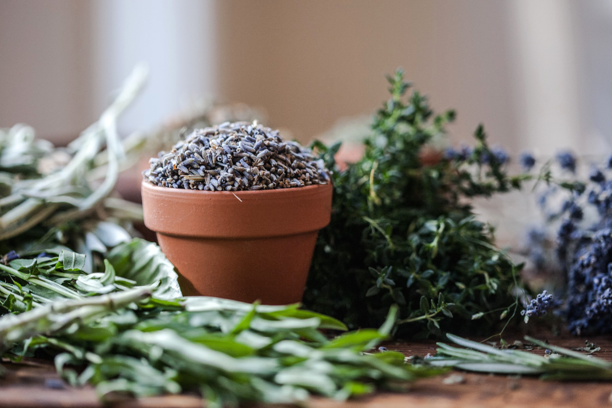 herbs for home odor