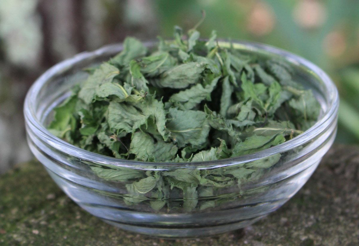 Infusion of lemon balm with mint
