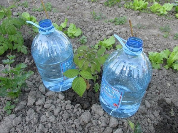 how to make drip irrigation from plastic bottles