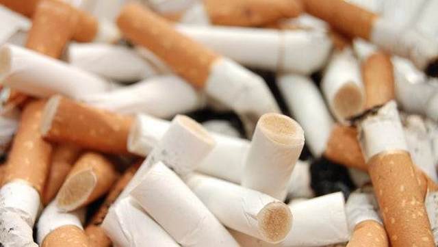 Cigarette butts