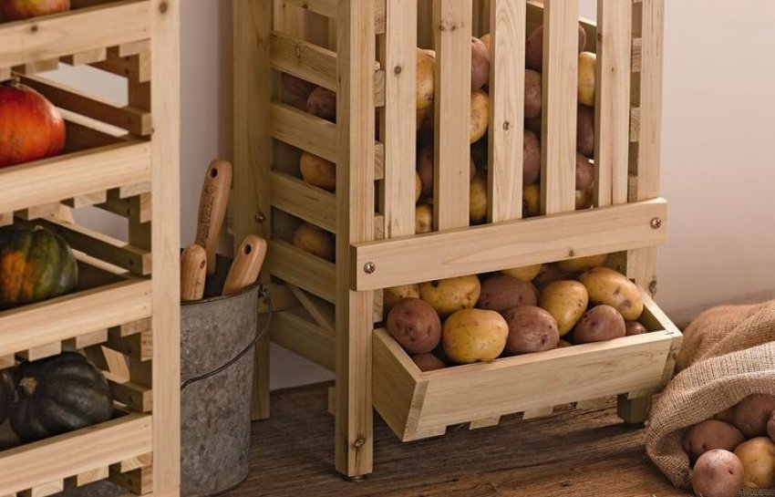 Storing potatoes in the pantry