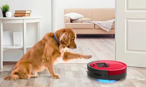 robot vacuum cleaner for animal hair