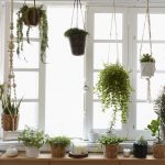 In front of the window