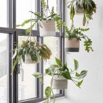 In front of the window