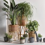 Create a composition