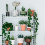 Create a composition