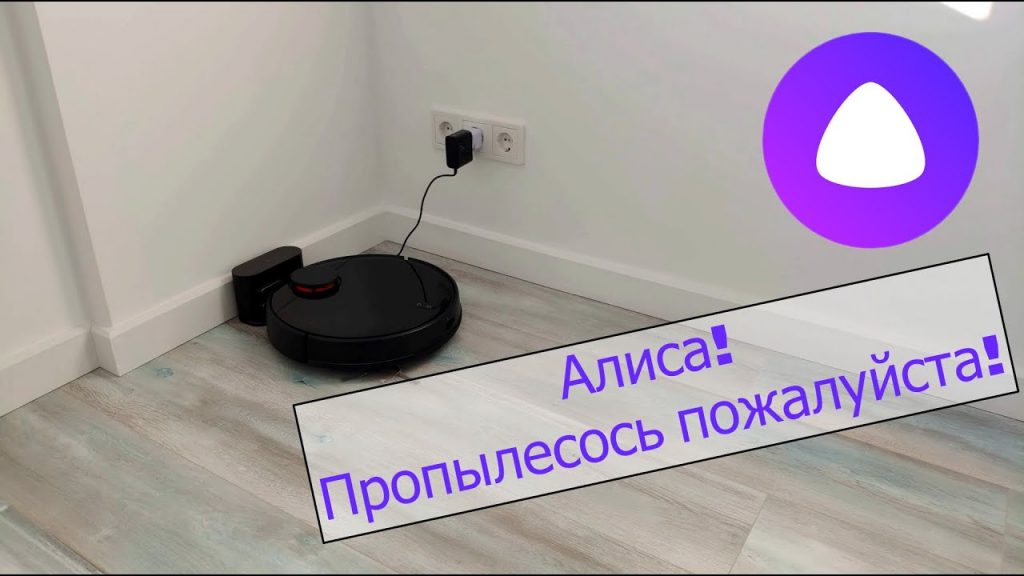robot vacuum cleaner and alice