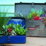 Play with old household items