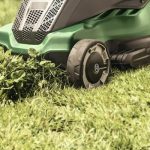 lawn mower for the garden