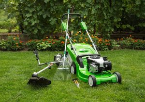 what to choose a trimmer or lawn mower