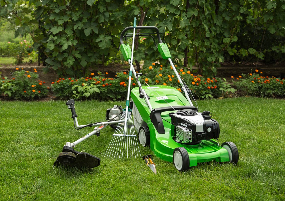 what to choose a trimmer or lawn mower