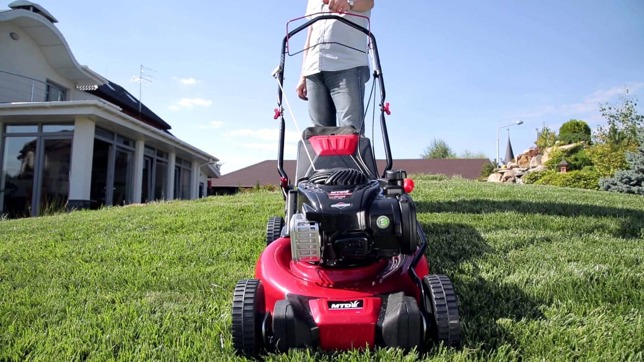 which lawn mower to choose