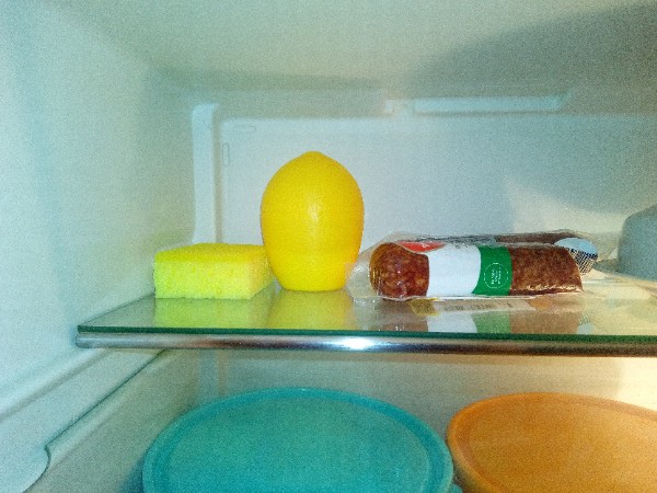 Sponge in the refrigerator