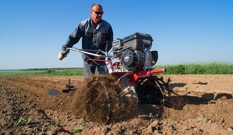 choosing a cultivator