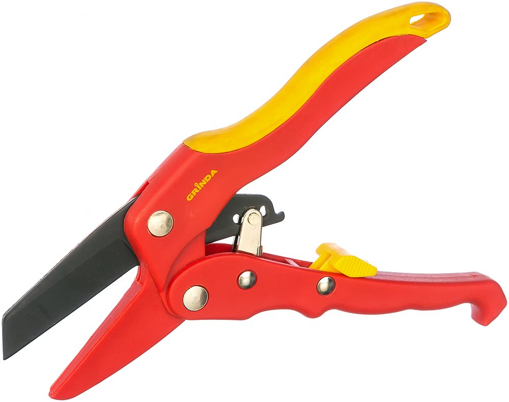 pruner with ratchet mechanism