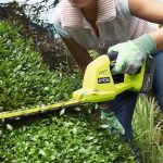 how to choose a hedge trimmer
