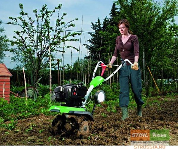 gasoline cultivator for the garden