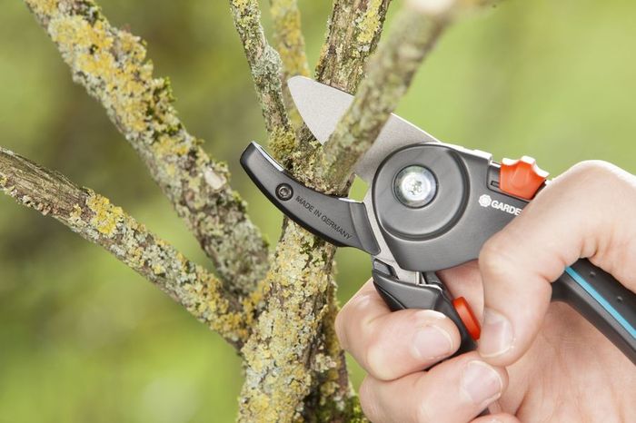 what is a pruner used for?