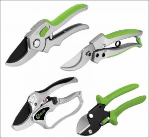 types of secateurs
