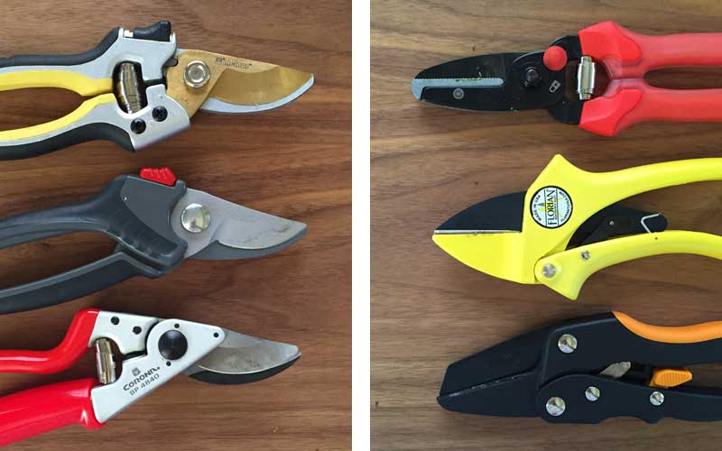 what types of secateurs are there?