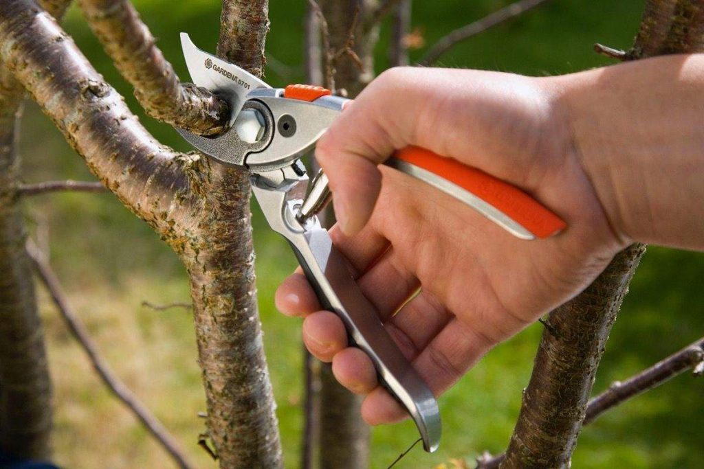 how to hold a pruner