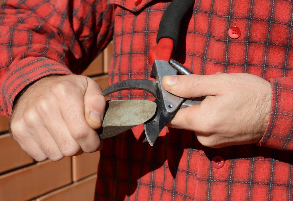Sharpening pruners.
