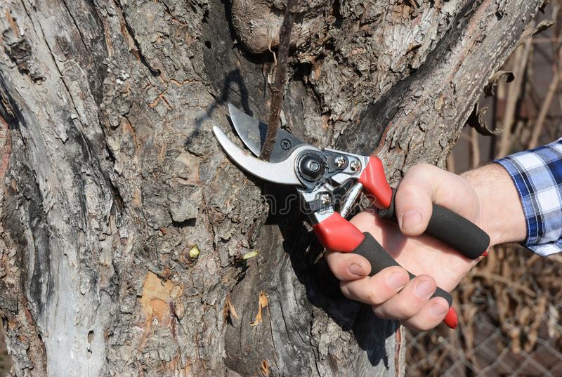 how to hold a pruner correctly