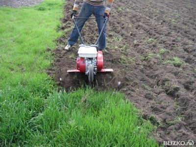 how to cultivate with a walk-behind tractor