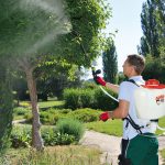 which sprayer to choose