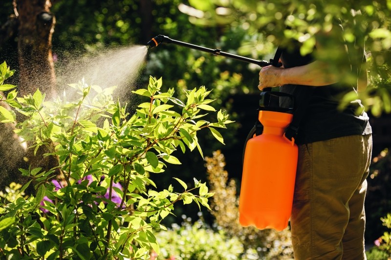 garden sprayer