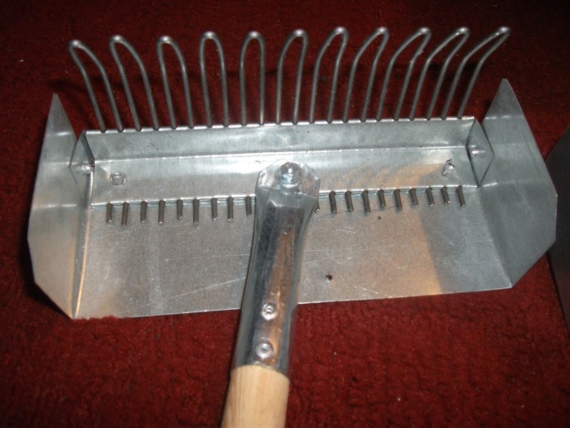 rake for picking berries