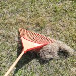 veernye-plasticovye-grabli-truper-