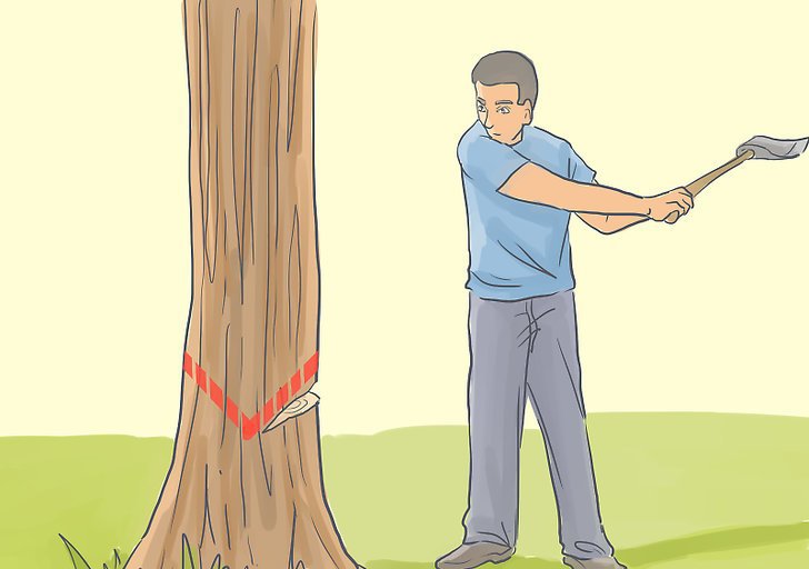 how to cut down a tree