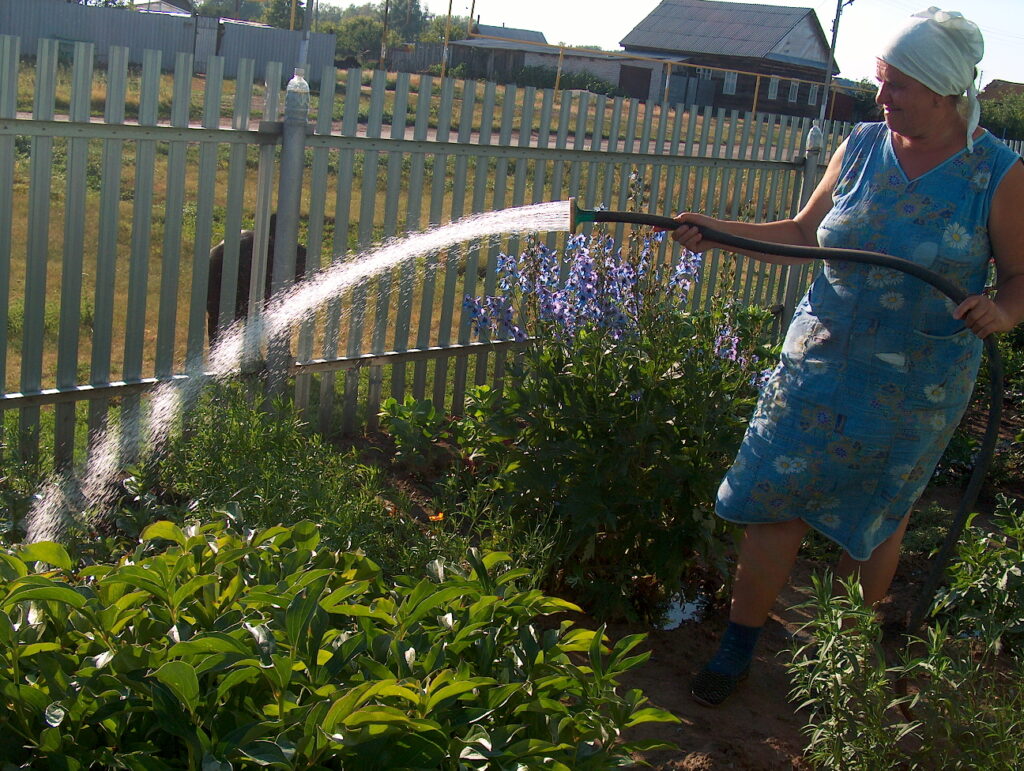 fine for watering the garden
