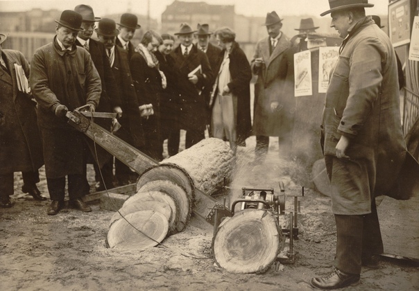 chainsaw demonstration