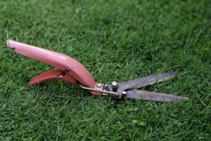 Screenshot 2022-03-13 at 05/12/14