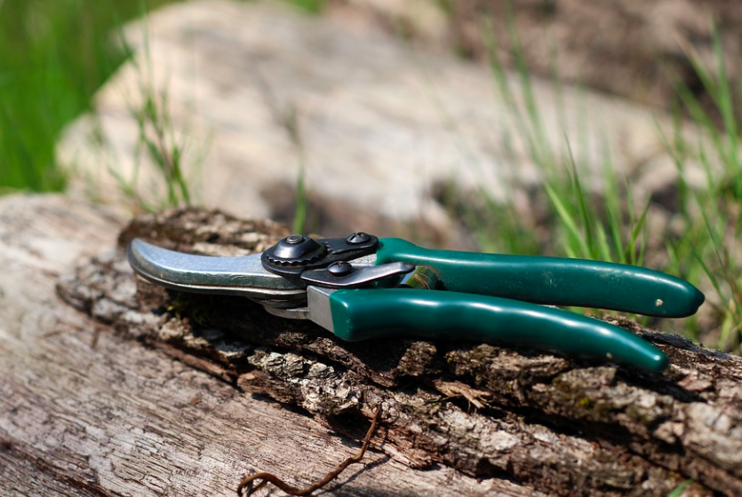 Screenshot 2022-03-13 at 12.05.36