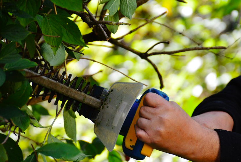 Screenshot 2022-03-13 at 07/12/19