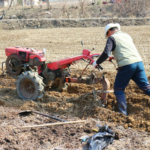 Screenshot 2022-03-13 at 12.13.35