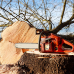 Screenshot 2022-03-30 at 07/17/41