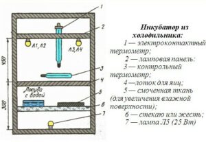 incubator diagram