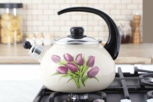 Kettle for gas stove