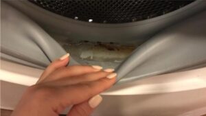 Cleaning the washing machine from dirt and odor