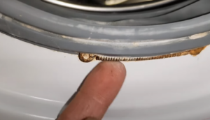 how to remove the seal on an LG washing machine - 3