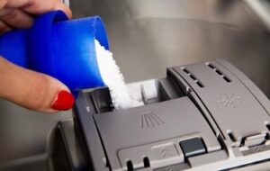 Malfunctions of the Indesit dishwasher