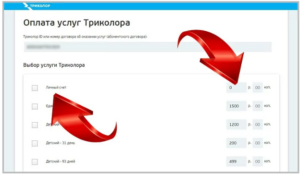 What does error 10 Tricolor mean?