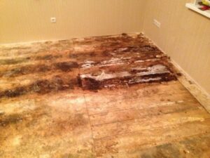 How to treat logs under the floor from rotting