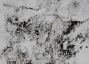 Screenshot 2023-04-06 at 21.12.30