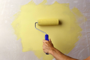 Painting plasterboard walls